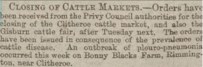 1882-02-11 Cattle disease at Bonny Blacks , Rimington